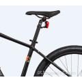 Bicicleta elétrica personalizada de 29 polegadas